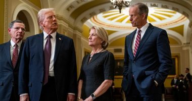 Republicans face critical week on Trump megabill