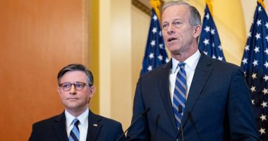 Republicans line up behind Trump after strike on Iran — with few detractors