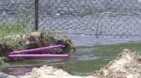 Residents asked to avoid Turkey Creek, nearby waterways after Palm Bay sewer main break