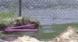 Residents asked to avoid Turkey Creek, nearby waterways after Palm Bay sewer main break