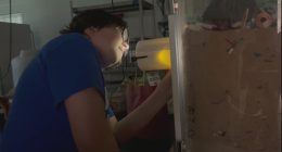Savannah State University welcomes Make-A-Wish family
