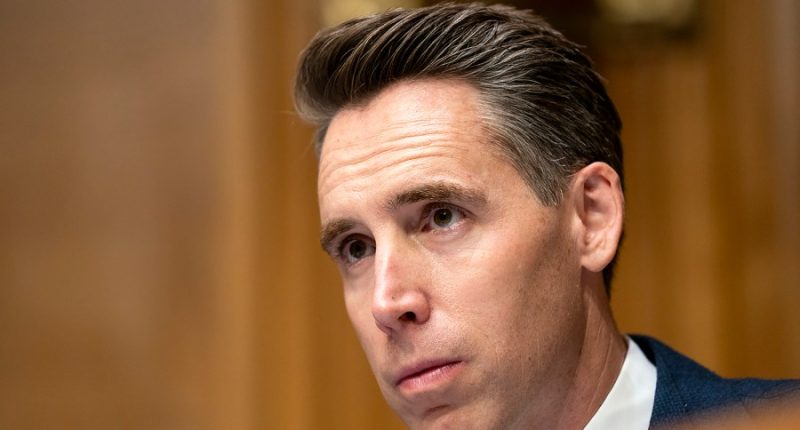 Sen. Josh Hawley investigating LA protests
