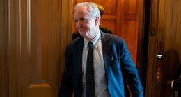 Senators call for security funding uptick as Minnesota shootings spook Capitol Hill 