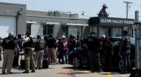 Social Security numbers, stolen IDs used by migrants: Feds