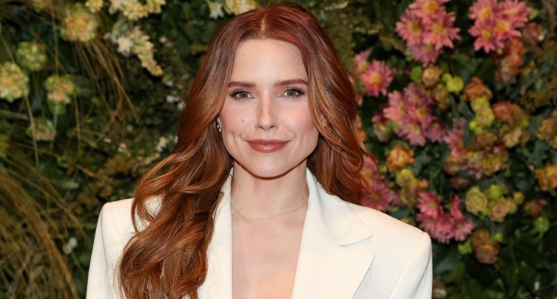Sophia Bush Talks Experiencing 'Unending Trauma' on Past TV Show Set: 'Hell'