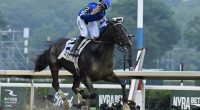 Sovereignty beats Journalism to win the Belmont Stakes at Saratoga