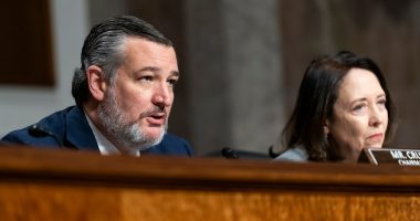 State AI rules ban survives in Senate rule fight