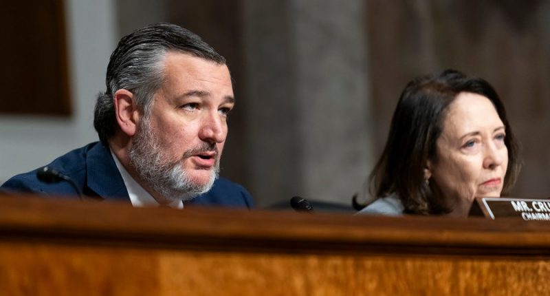 State AI rules ban survives in Senate rule fight