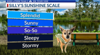 Storm Team 3: Hazy sunshine continues to kick off new work week