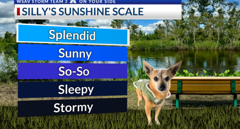 Storm Team 3: Hazy sunshine continues to kick off new work week