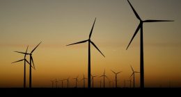 Support for solar energy and offshore wind falls among Democrats and independents, AP-NORC poll says