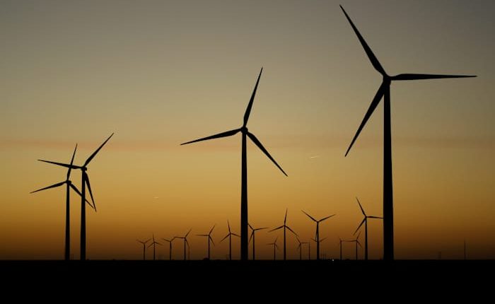 Support for solar energy and offshore wind falls among Democrats and independents, AP-NORC poll says