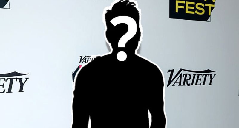 TV star admits to getting FOUR hair transplants