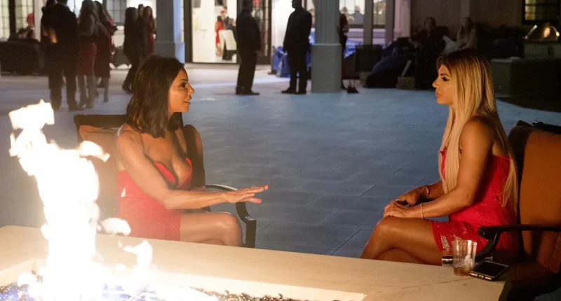 Teresa Giudice Calls Danielle Staub 'TV Gold'