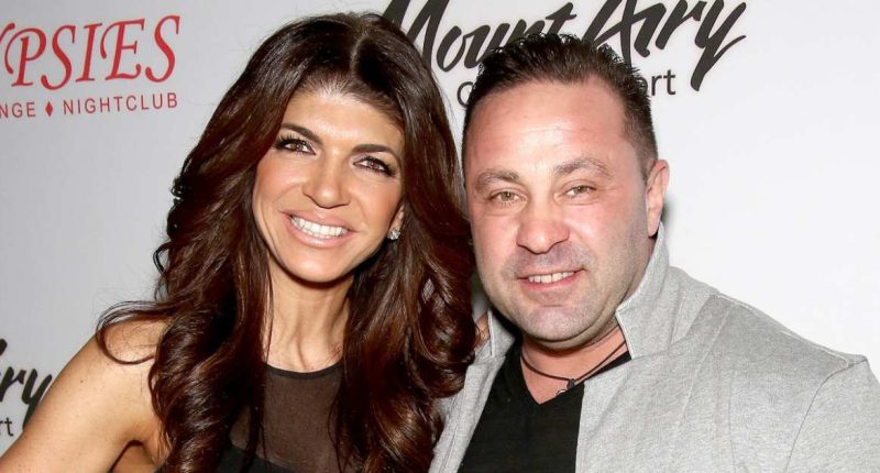 Teresa Giudice Supports Ex Husband Joe as He Asks for Presidential Pardon 