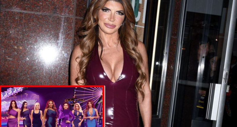 Teresa Giudice Confirms She’s Willing to Return to RHONJ With Same Cast & Shares If She Tried Melissa