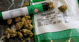 Texas Gov. Abbott vetoes THC ban, calls special session