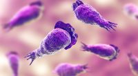 Texas woman dies after nasal rinse with tap water