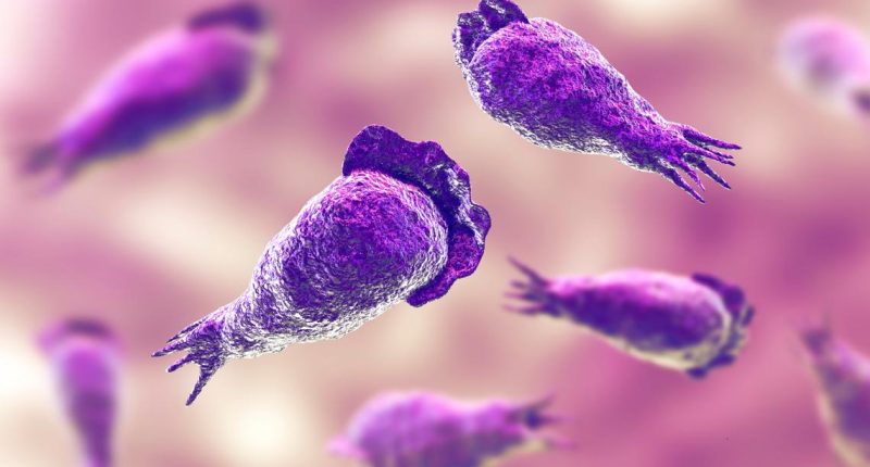 Texas woman dies after nasal rinse with tap water