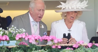 That's Not Royal Behavior! Punches Are Thrown When Violent Brawl Breaks Out at Royal Ascot