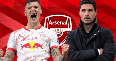 The path is clear for Arsenal to sign Benjamin Sesko – but he’s not the finished article