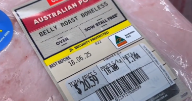 Food packaging.
