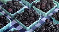 These 2 items added to 'Dirty Dozen' list of most pesticide-contaminated produce