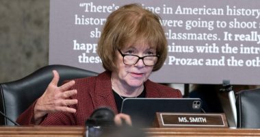 Threats to lawmakers are on the rise, security officials tell senators