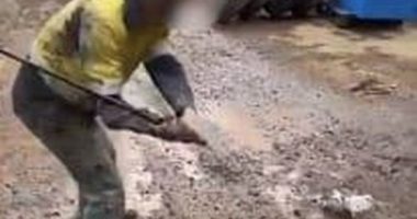 Three workers have been fined over footage of a pigeon being bashed with a golf club at a minesite in Western Australia.