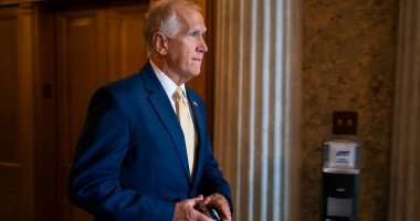 Tillis won't run for reelection in North Carolina