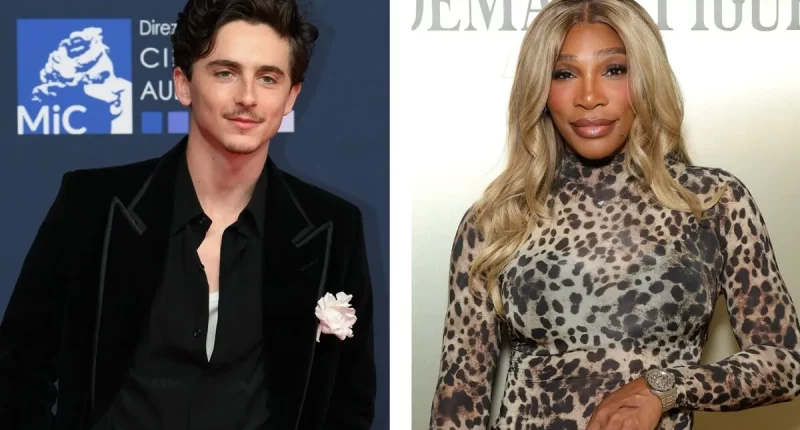 Timothée Chalamet's Ex-Girlfriend Is Now Dating Serena Williams' Ex
