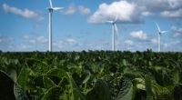 Trump: 'We're not going to approve windmills'