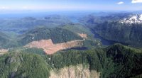 Trump administration to remove protections on 59 million acres of National Forest lands