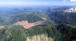 Trump administration to remove protections on 59 million acres of National Forest lands