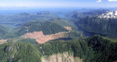 Trump administration to remove protections on 59 million acres of National Forest lands