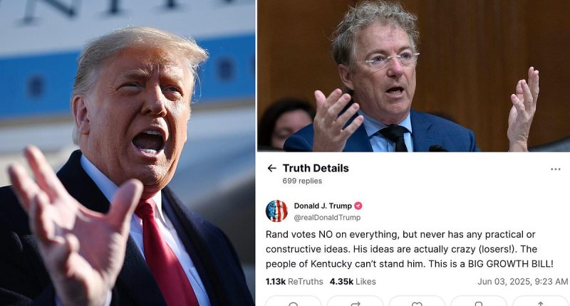 Trump blasts Sen. Rand Paul over opposition to 'big beautiful bill'