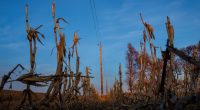 Trump cuts to NOAA, NASA 'blinding' farmers to risks, scientists warn