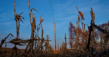 Trump cuts to NOAA, NASA 'blinding' farmers to risks, scientists warn