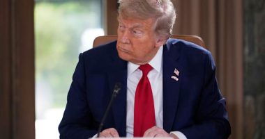 Trump fires Democratic commissioner of independent agency that oversees nuclear safety