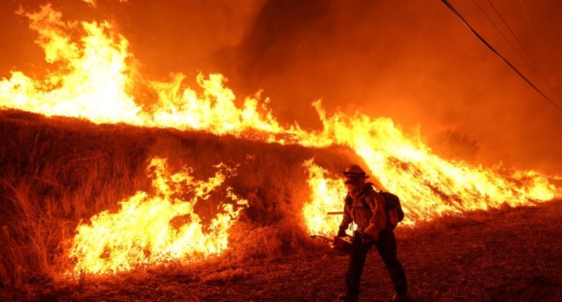 Trump moves to merge wildland firefighting into single force, despite ex-officials warning of chaos