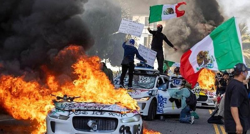 Trump orders the arrest of everyone in face masks and says 'bring in the troops' as LA burns, looting breaks out and violence spirals out of control following migrant crackdown protests