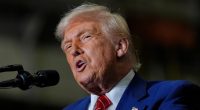 Trump pardons Florida shark divers convicted of theft
