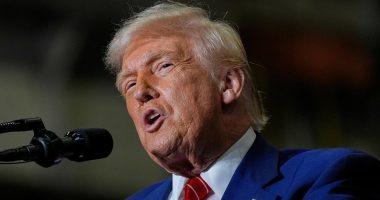 Trump pardons Florida shark divers convicted of theft