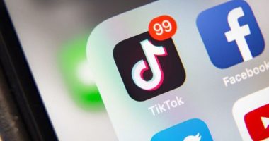 Donald Trump says a buyer for TikTok may be finalised soon.
