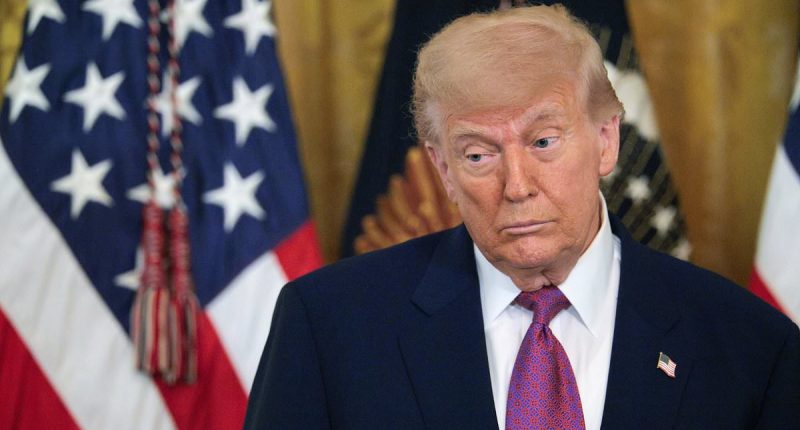 Trump sticks it to both Elon Musk AND Gavin Newsom with move to 'save' auto industry
