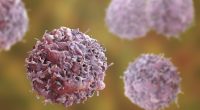 Understanding and beating prostate cancer