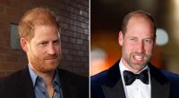 Will Prince William and Harry Ever See Each Other Again? Sources Weigh In