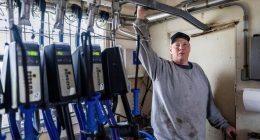 Wisconsin dairy farmer sues Trump administration claiming discrimination against white farmers