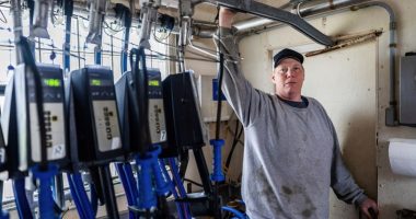 Wisconsin dairy farmer sues Trump administration claiming discrimination against white farmers