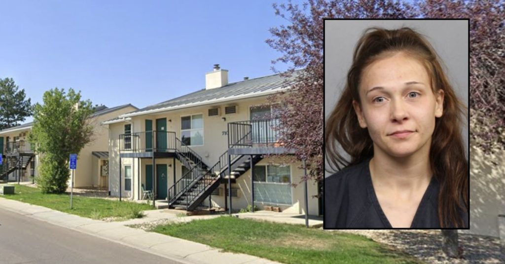 Woman shot at another woman during domestic dispute: Police